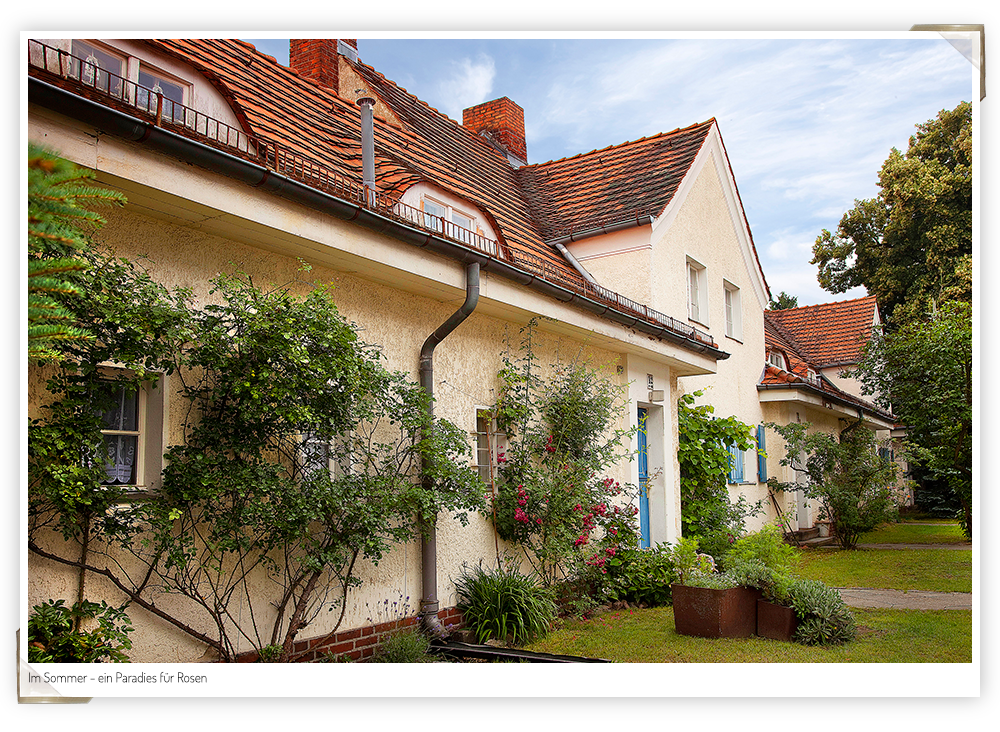 Stonehill Gardens