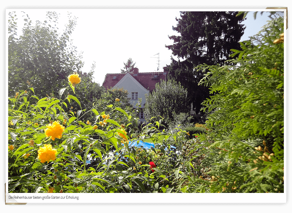 Stonehill Gardens